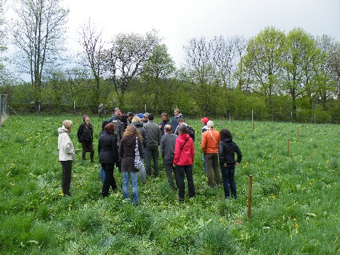 Ex-Situ-Erhaltungsfläche in Oberfrauendorf